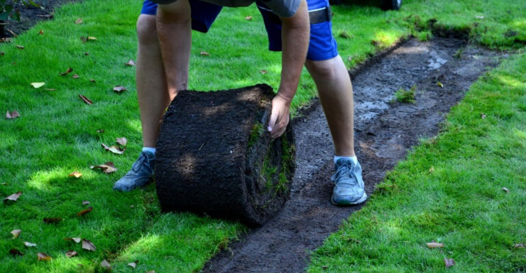 California Communities Still Offering Turf Removal Rebates In 2026