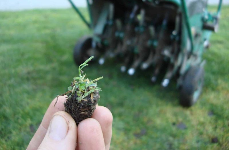 8 Things Florida Bermudagrass Needs In September To Stay Dense Going Into Fall 8 Things Florida Bermudagrass Needs In September To Stay Dense Going Into Fall