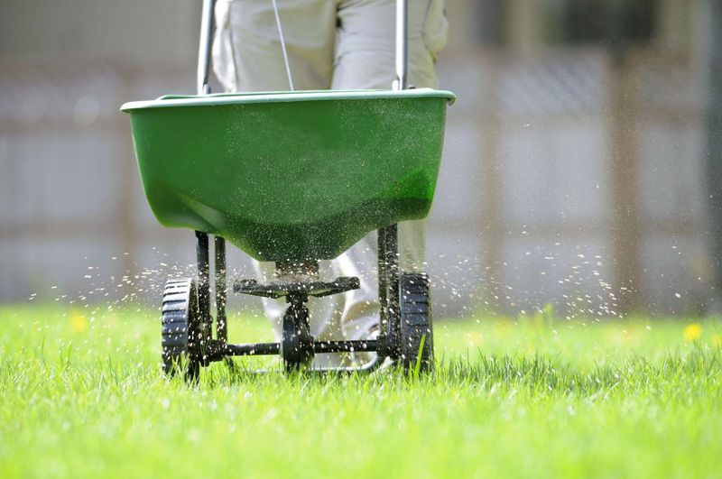 A Balanced Fall Fertilizer Boost
