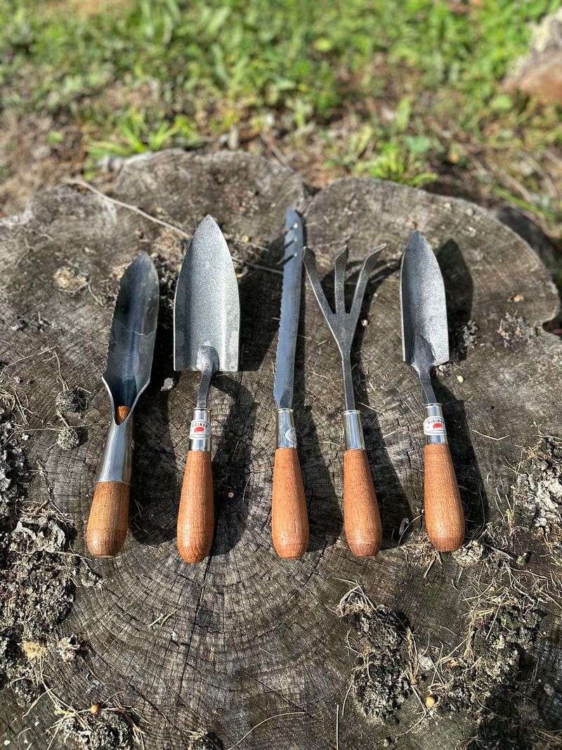 A Clean Split With A Garden Fork A Clean Split With A Garden Fork