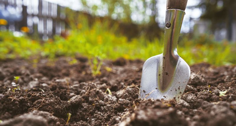 A Cleaner Bed Makes Spring Planting Easier