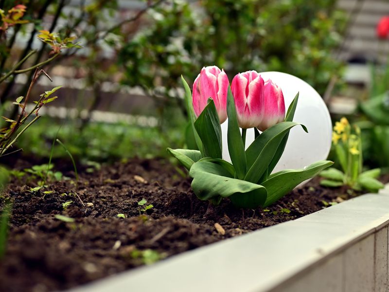 A Cleaner Garden Bed Come Spring