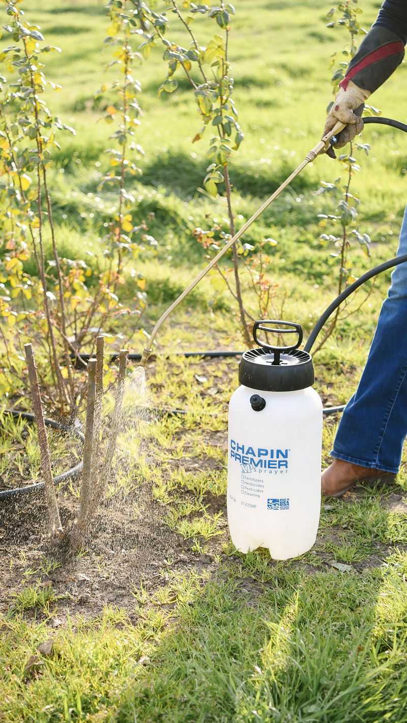 A Cleanup Routine That Actually Breaks The Cycle