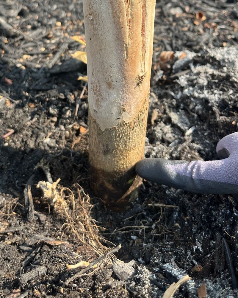 A Closer Look At Soil Moisture Timing A Closer Look At Soil Moisture Timing