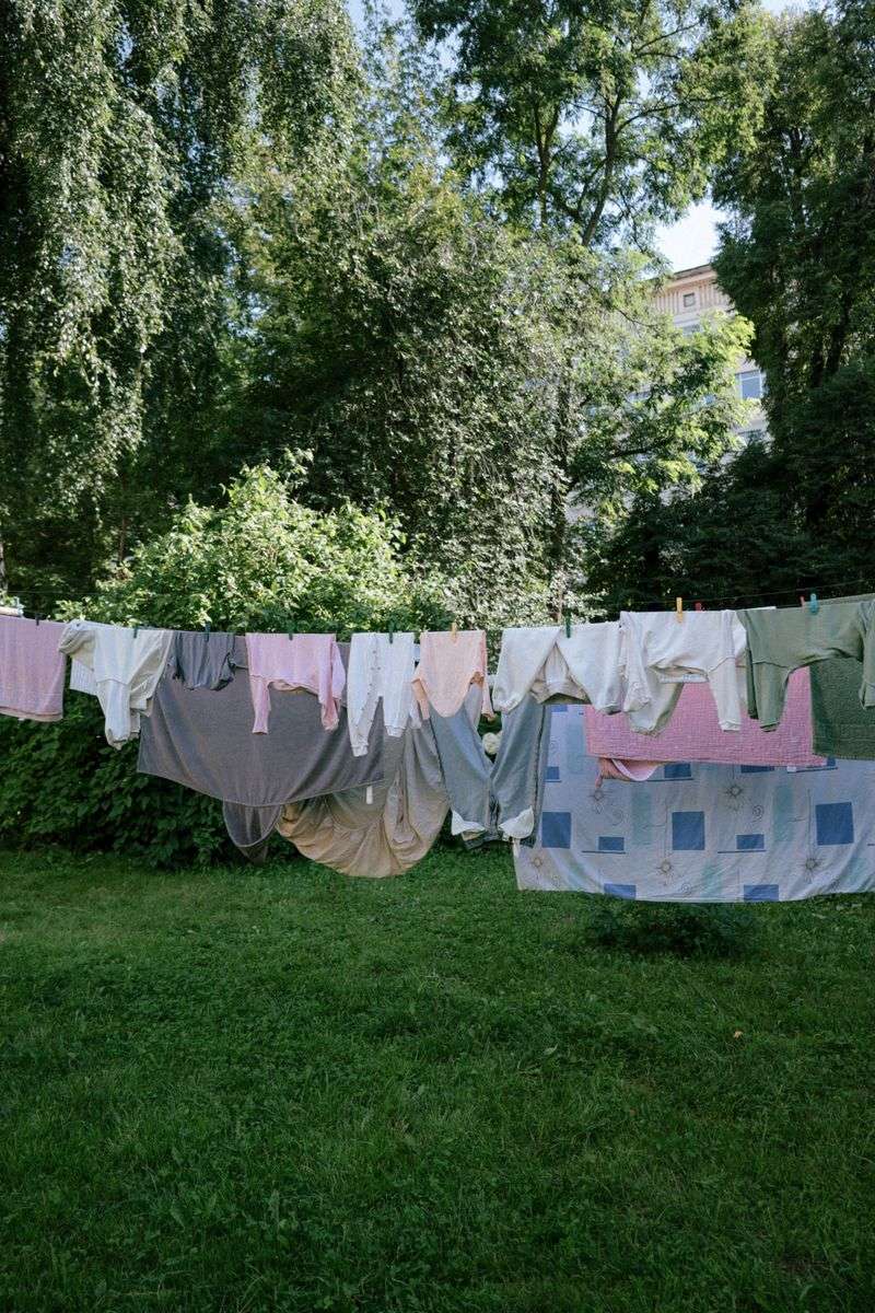 A Clothesline Full Of Laundry