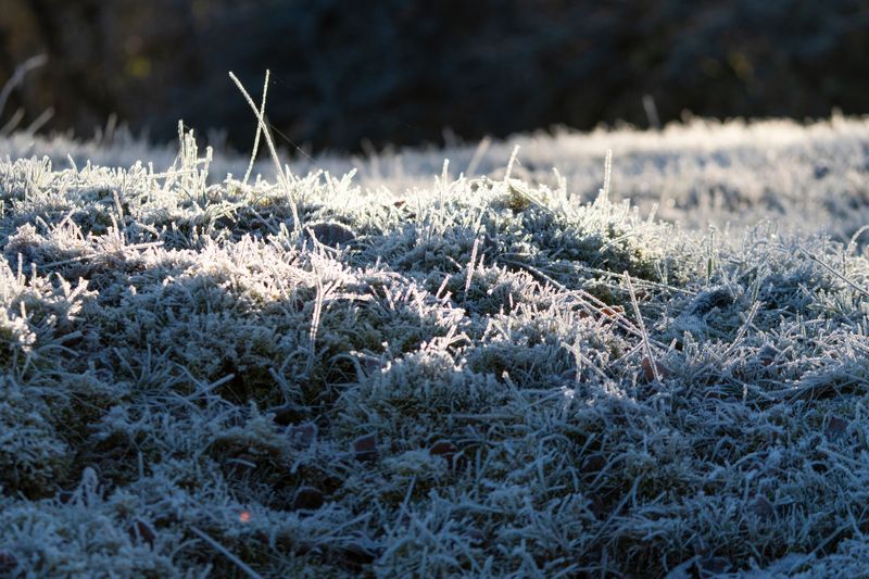 A Common Mistake With Frozen Ground