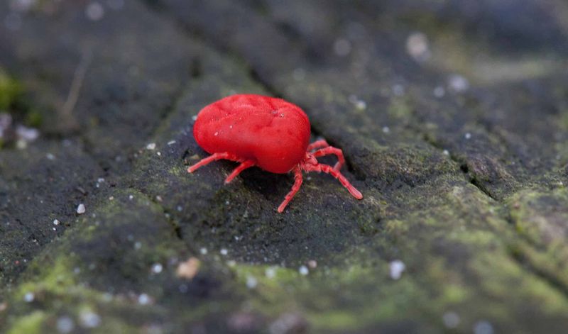 A Damp Spring Set The Stage For A Busy Season