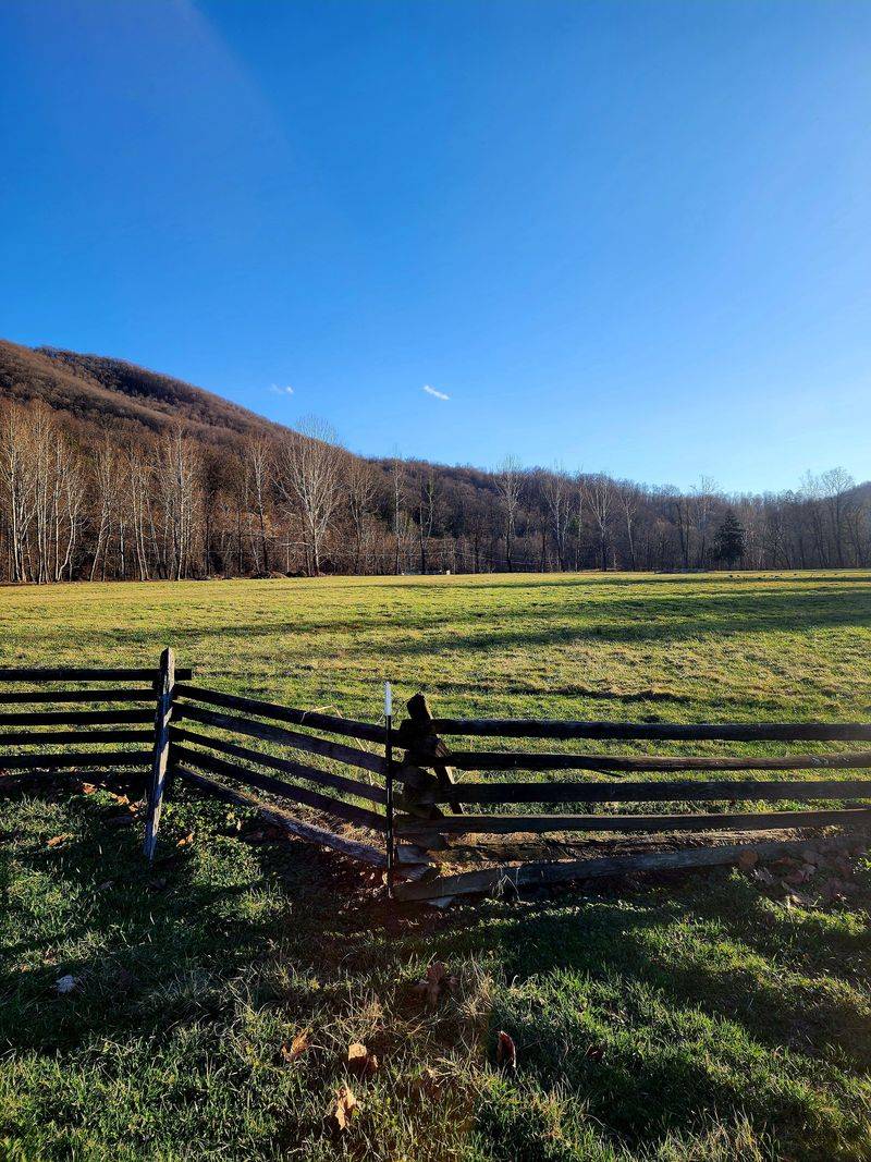 A Fence Line Plan For Peaceful Mornings A Fence Line Plan For Peaceful Mornings