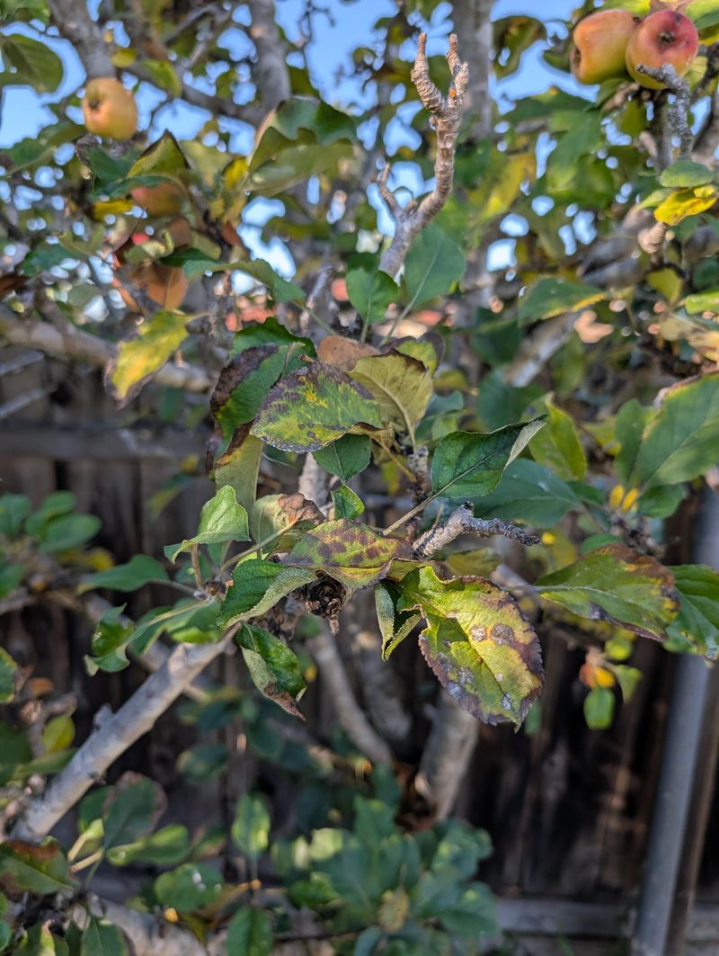 A Fall Checklist Against Spring Pests"