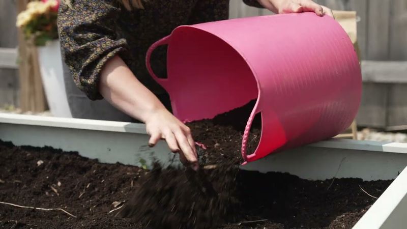 A Fresh Compost Boost Before Winter Sets In