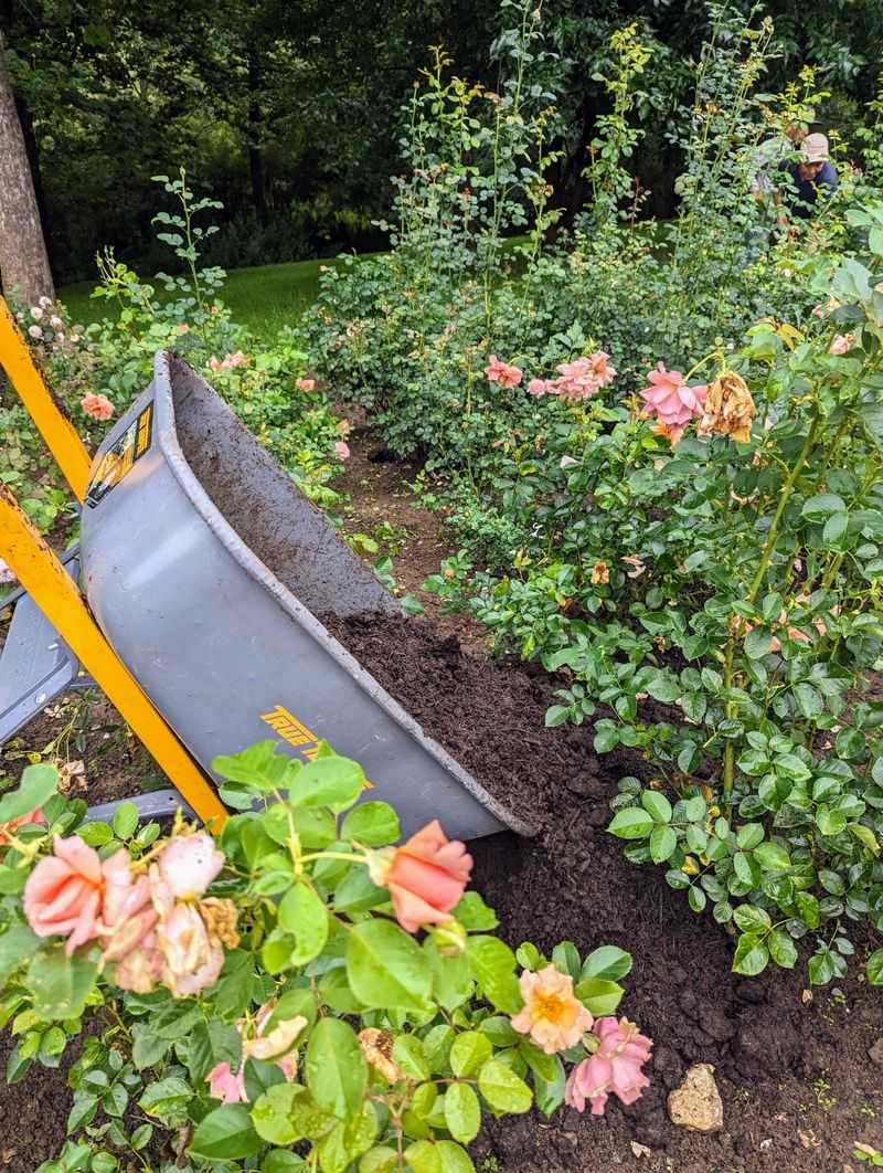 A Fresh Layer Of Mulch
