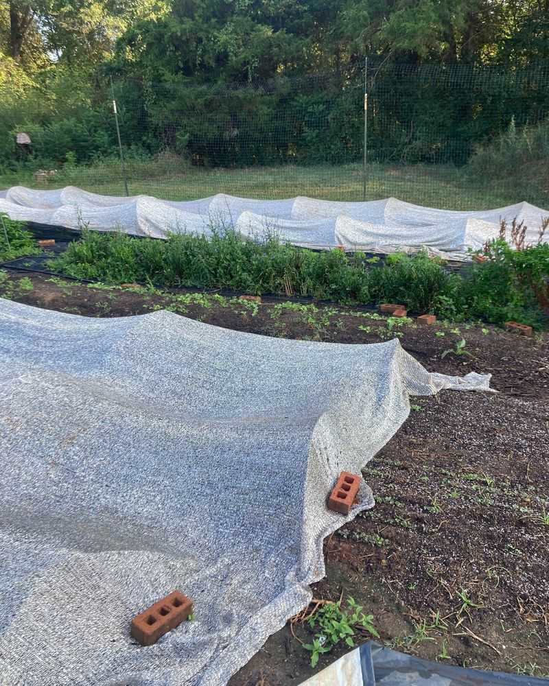 A Frost-Ready Garden Plan For Next Year