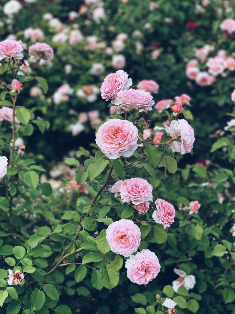 A Growing Season That Rarely Pauses