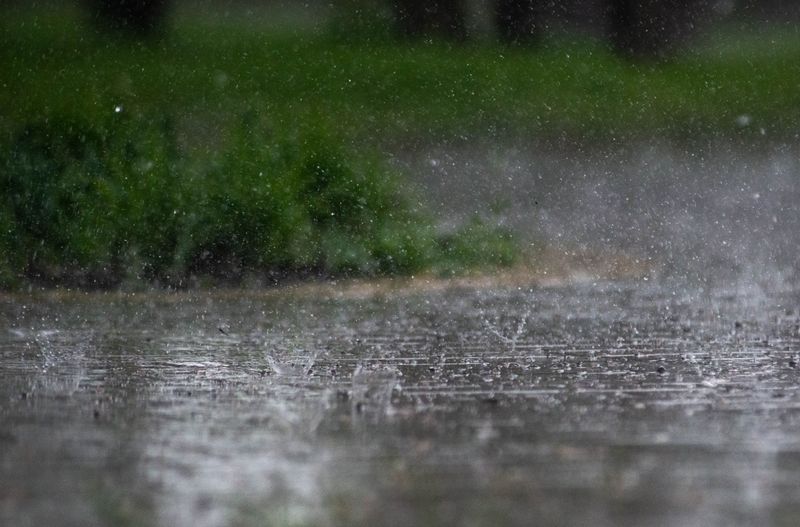 A Hot, Soggy Summer Followed By A Sudden Cool Snap