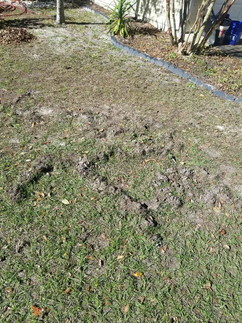 A Late-Summer Check Is What Your Pennsylvania Lawn Needs
