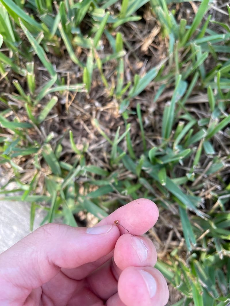 A Late Summer Feeding Season That Stretches Into Fall A Late Summer Feeding Season That Stretches Into Fall