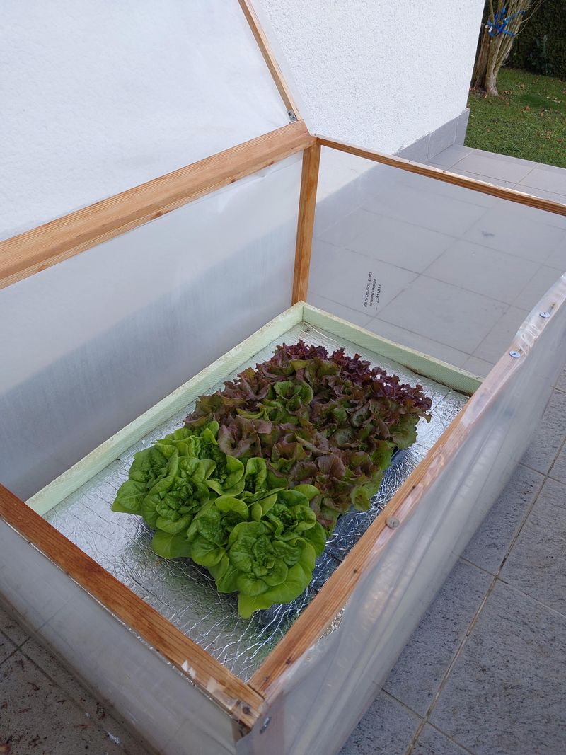 A Mini Greenhouse Stretches Your Fall Harvest Window A Mini Greenhouse Stretches Your Fall Harvest Window