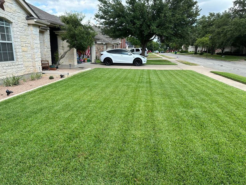 A Mowing Routine Built For Next Spring A Mowing Routine Built For Next Spring
