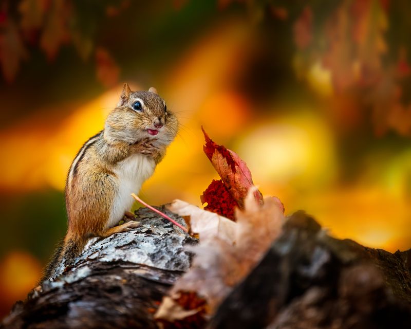A Nudge Toward Preparation And Resourcefulness
