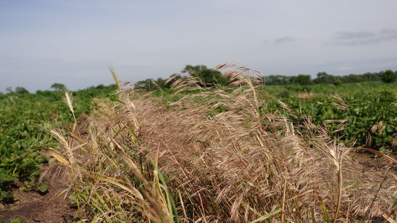 A Realistic Game Plan For Landowners This Fall