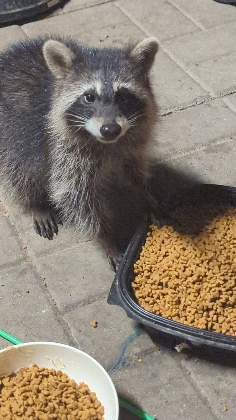 A Reliable Food Source Right Under Your Nose