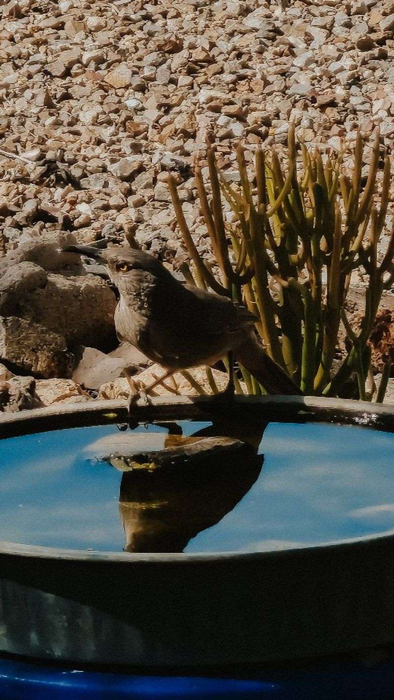 A Reliable Water Source A Reliable Water Source