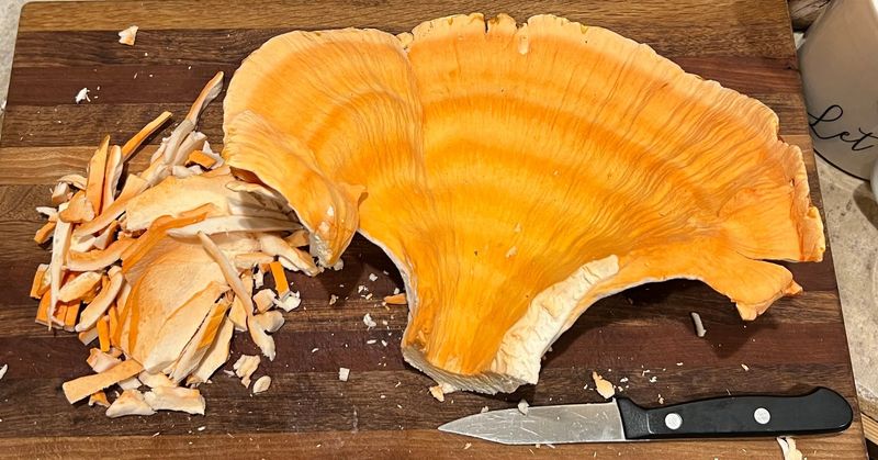 A Safe Harvest And The Kitchen Test
