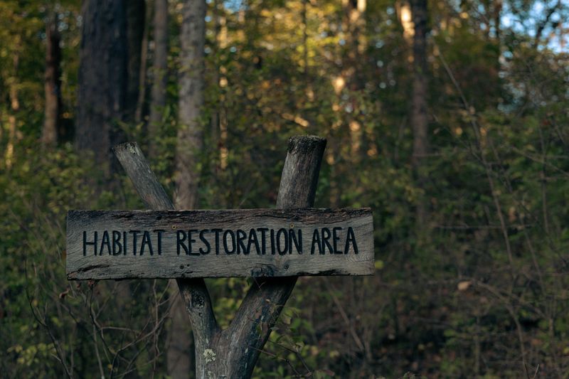A Sign Your Habitat Is Actually Working A Sign Your Habitat Is Actually Working