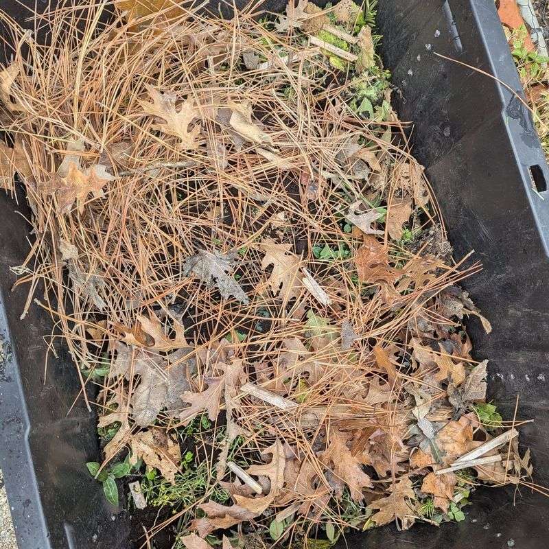 A Simple Layering Method For Fall Leaves A Simple Layering Method For Fall Leaves