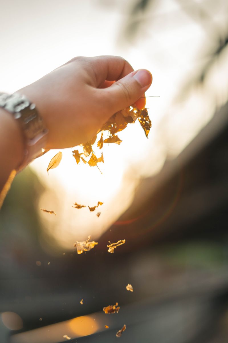 A Simple Leaf Rub For Backyard Evenings