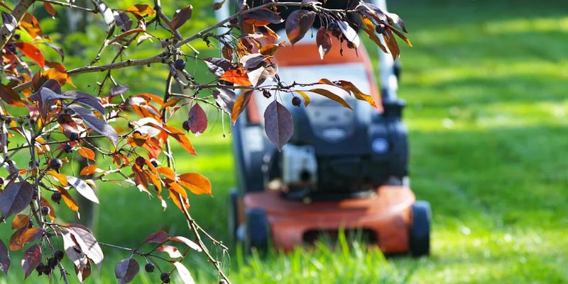 A Simple October To November Mowing Plan 