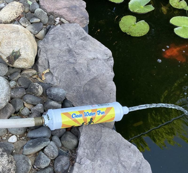 A Small Water Change Dilutes Built-Up Waste A Small Water Change Dilutes Built-Up Waste