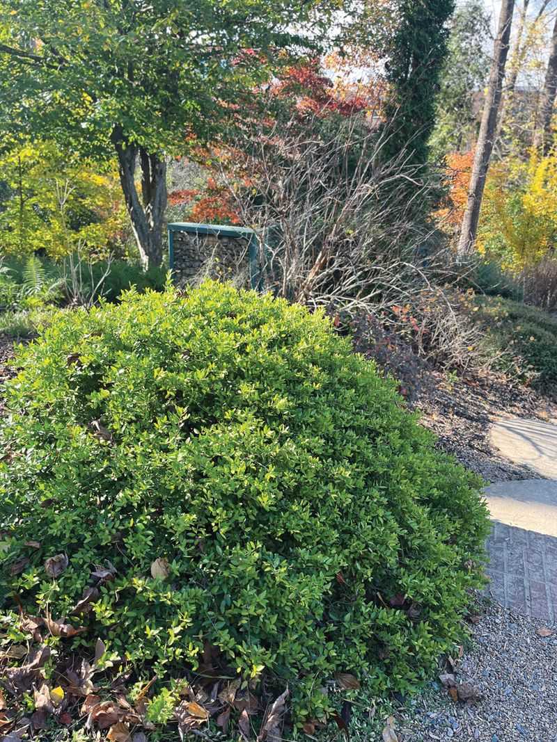 A Soaking Rain Can Make Planting Seem Perfectly Timed