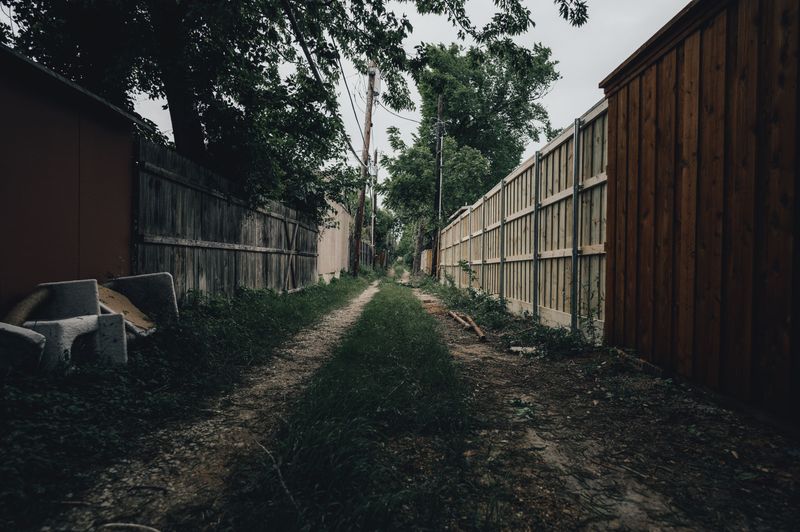 A Steady Removal Plan For Johnson County Yards
