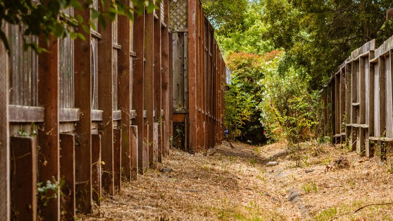 A Tall Fence Built Without Approval
