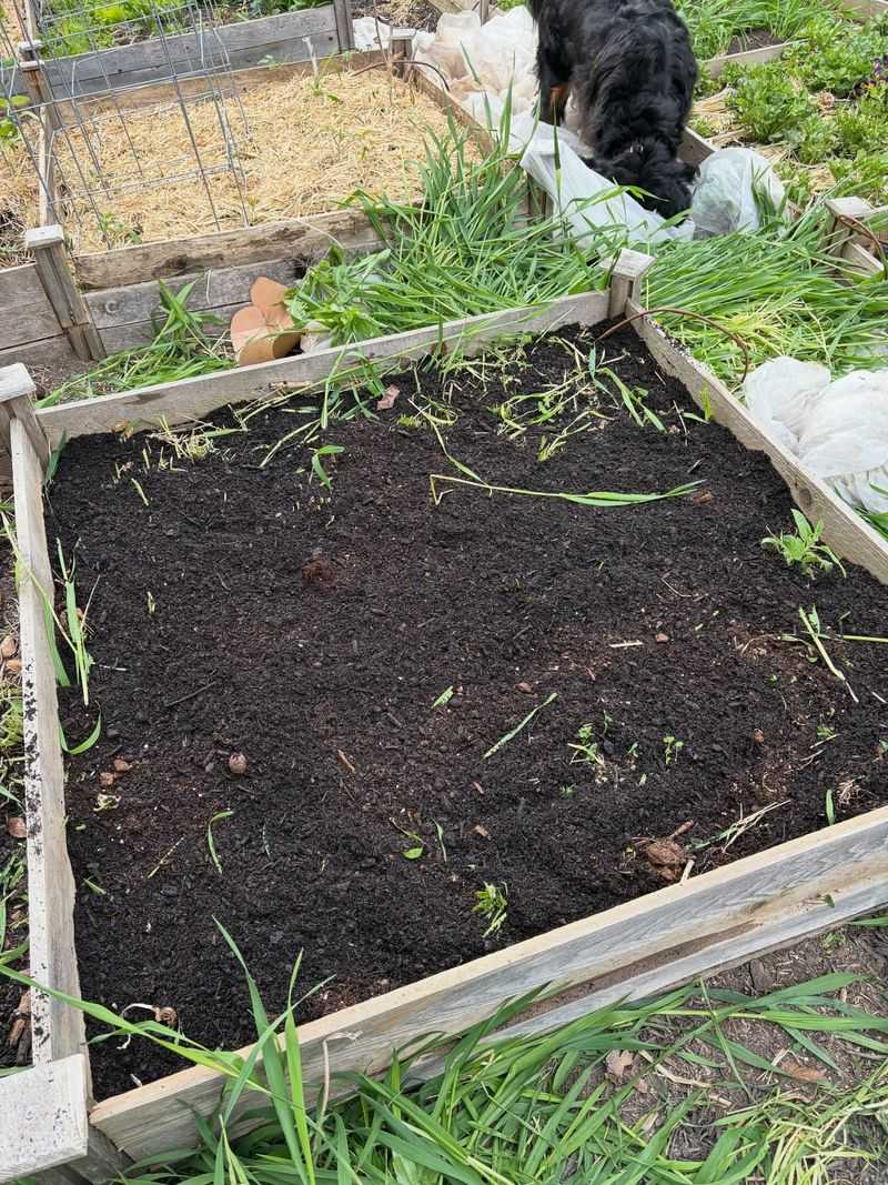 A Tidy Spring Cleanup Before Planting Day