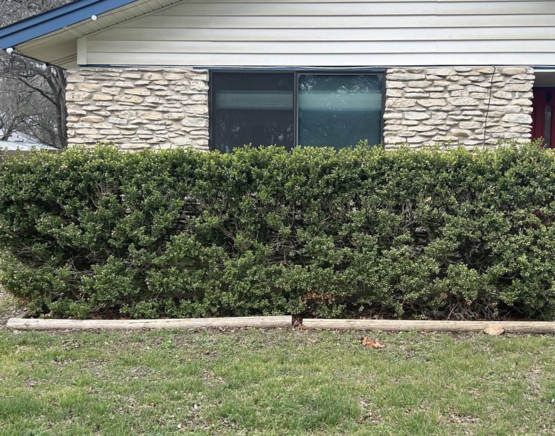 A Wall Can Put Flames Too Close To The House