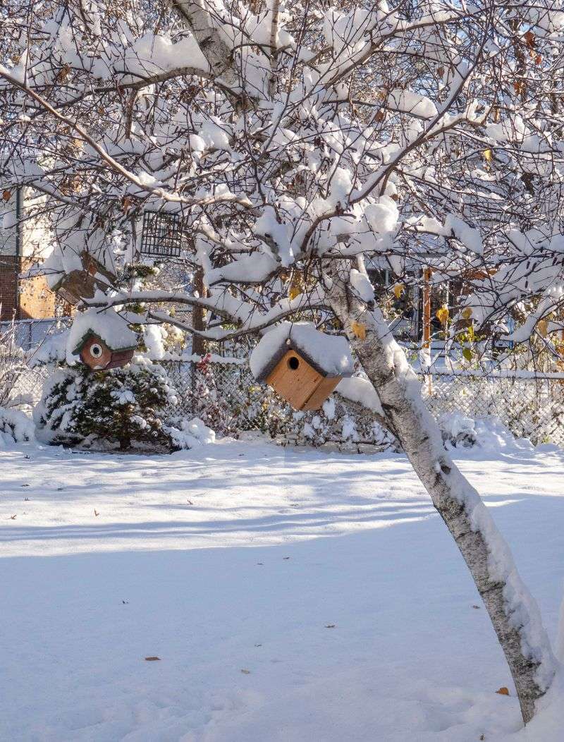 A Winter-Ready Yard Plan For Both Of You