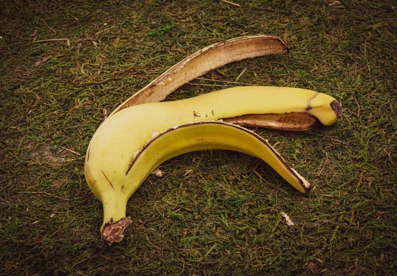 A banana adds uncertainty instead of a rooting advantage