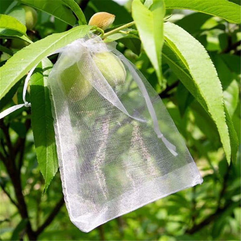 A breathable bag protects one accessible fig A breathable bag protects one accessible fig