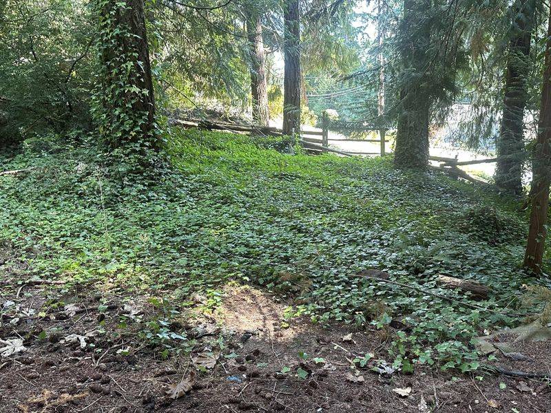A fence removal plan starts low and comes back later A fence removal plan starts low and comes back later