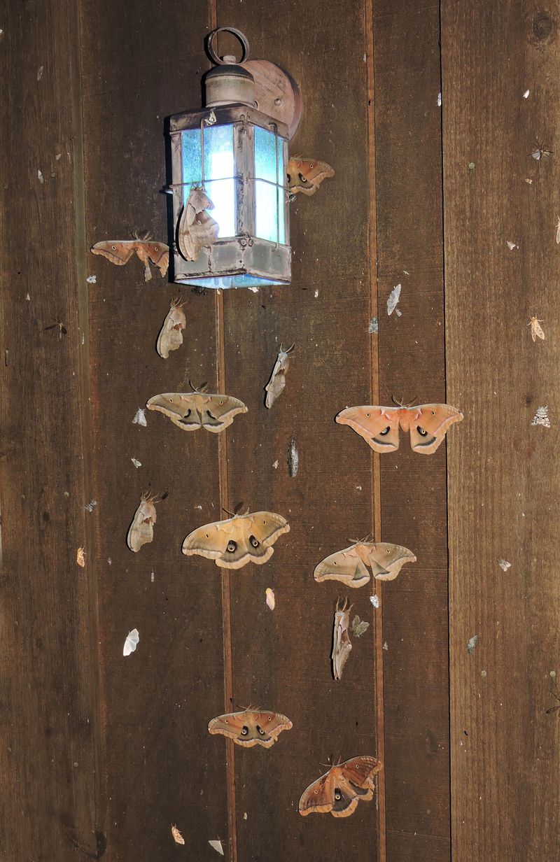 A porch light can create a misleading impression
