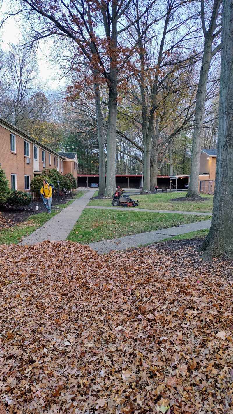 Act Quickly If Your Ohio HOA Sends A Violation Notice