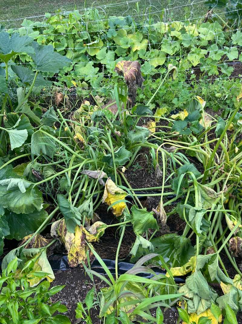 Acting Fast Can Save Nearby Plants Acting Fast Can Save Nearby Plants