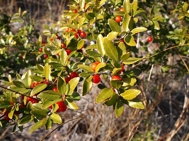 Adaptability Reaches Well Past Dry Weather Adaptability Reaches Well Past Dry Weather