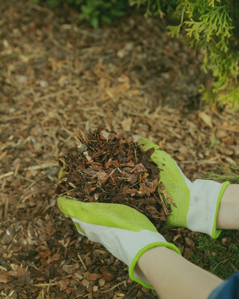 Add A Protective Mulch Layer Add A Protective Mulch Layer