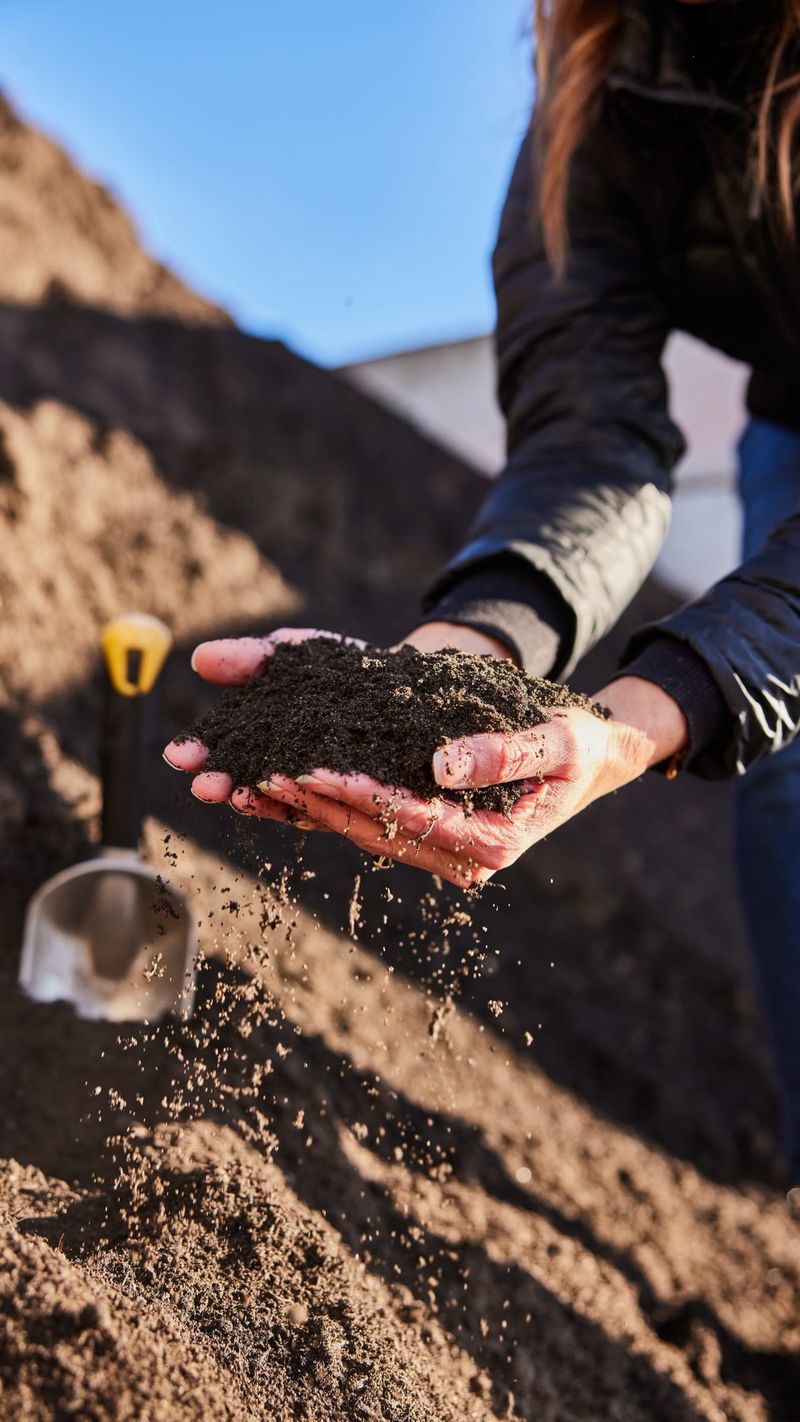 Add A Thin Soil Layer If Needed