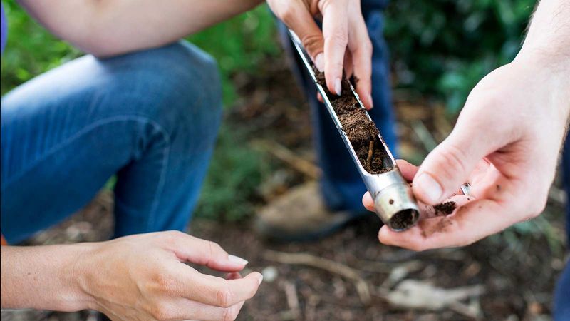 Add Compost To Rebuild Soil After A Dry Summer