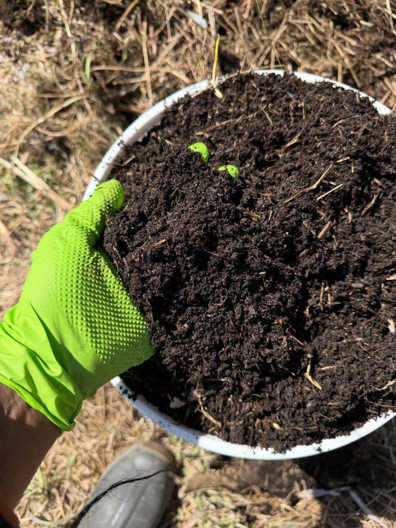 Add Finished Compost To Rebuild Soil Quality Add Finished Compost To Rebuild Soil Quality