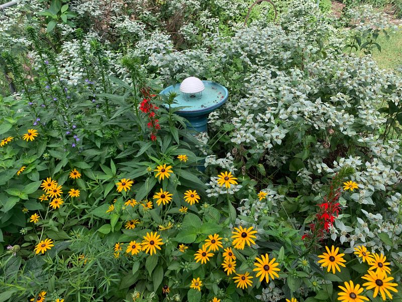 Add Flowers At Different Heights Throughout The Yard Add Flowers At Different Heights Throughout The Yard